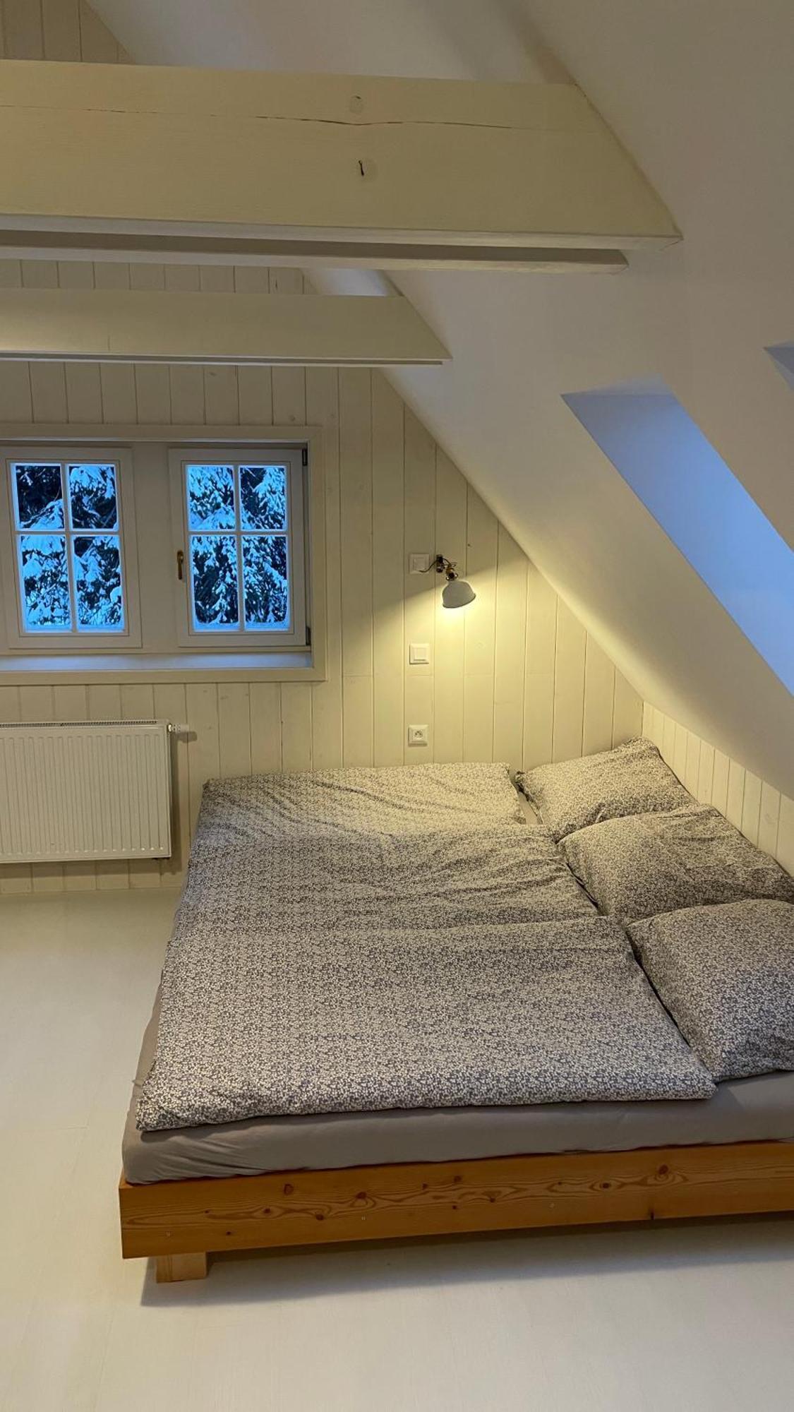 Izerina Cottage Horní Maxov Dış mekan fotoğraf